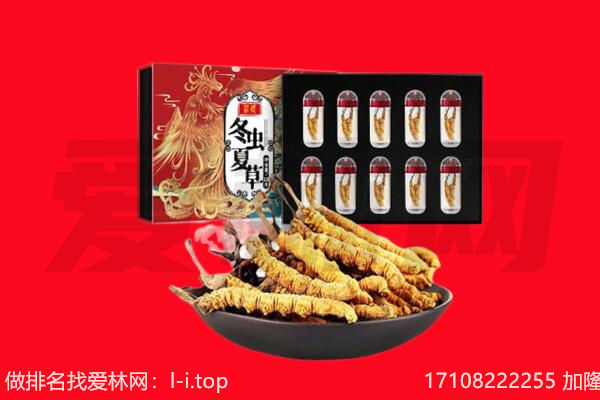 金溪县回收虫草.jpg